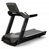 VISION T600E Беговая дорожка