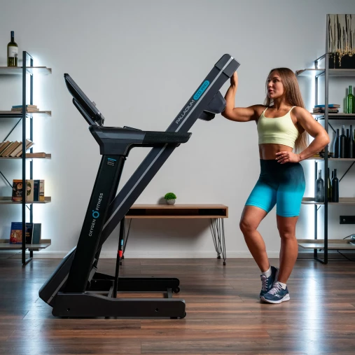 Беговая дорожка полукоммерческая OXYGEN FITNESS PALLADIUM LCD PRO Беговая дорожка полукоммерческая OXYGEN FITNESS PALLADIUM LCD PRO