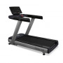 Беговая дорожка BRONZE GYM T930M PRO