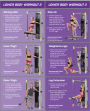 Функциональный тренажёр HOIST Mi6 Functional Trainer 