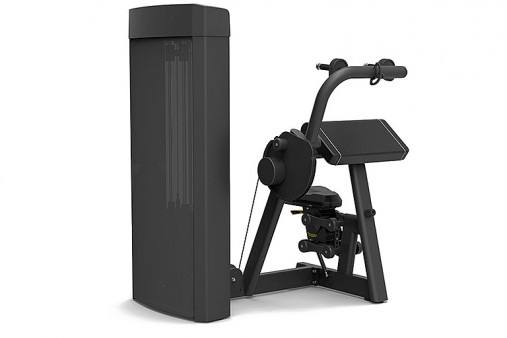Трицепс Spirit SP-4308 Трицепс Spirit SP-4308